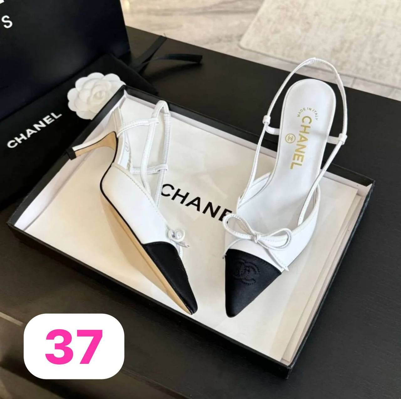 offer offer 
Limit Stock
Master Shoes
140 dhs🇦🇪
Zain119
♥️♥️♥️