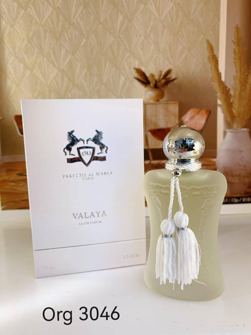 Delina org
55 dhs🪙
Zain36
🌸🌸🌸