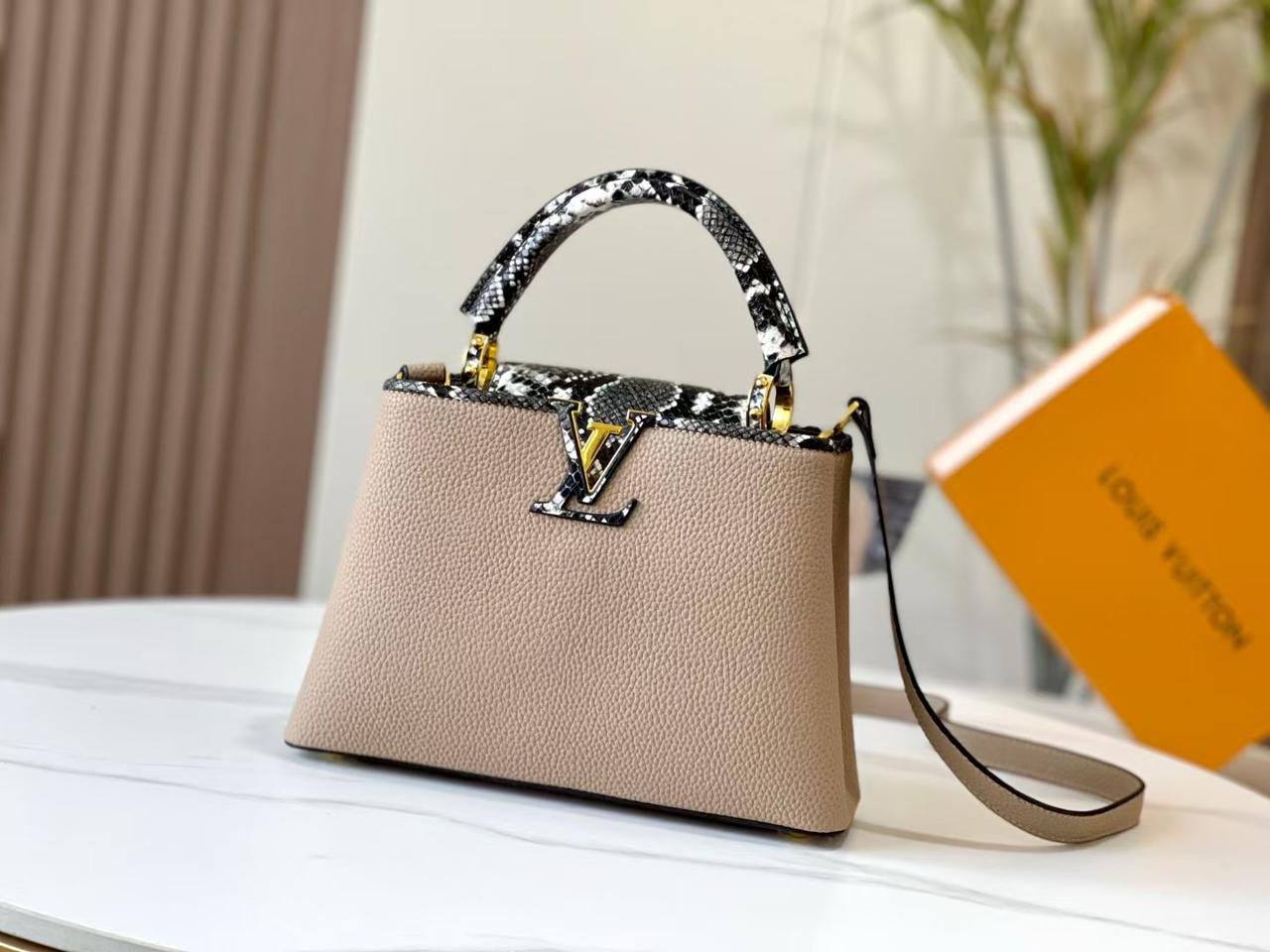 Louis Vuitton Master
