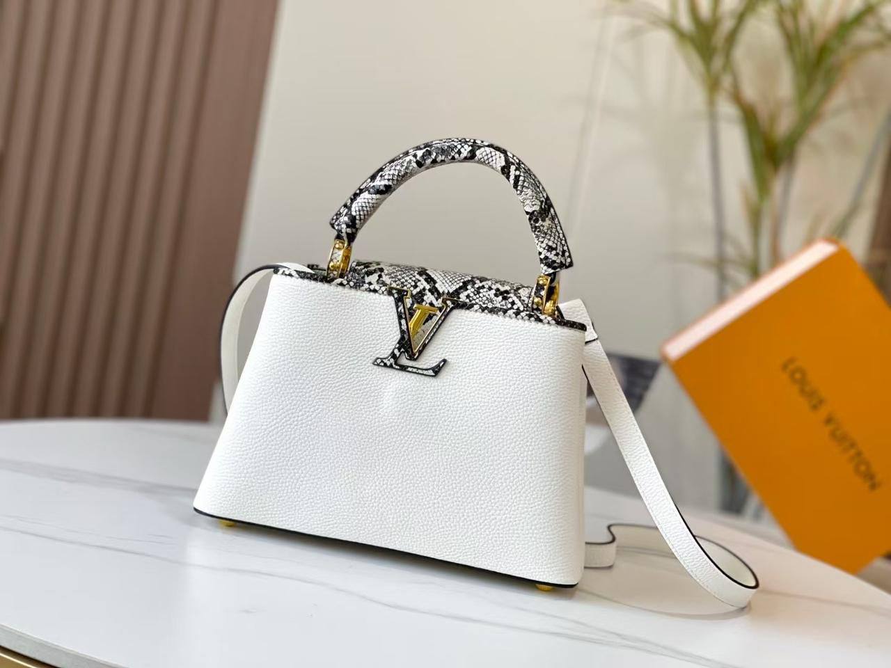 Louis Vuitton Master