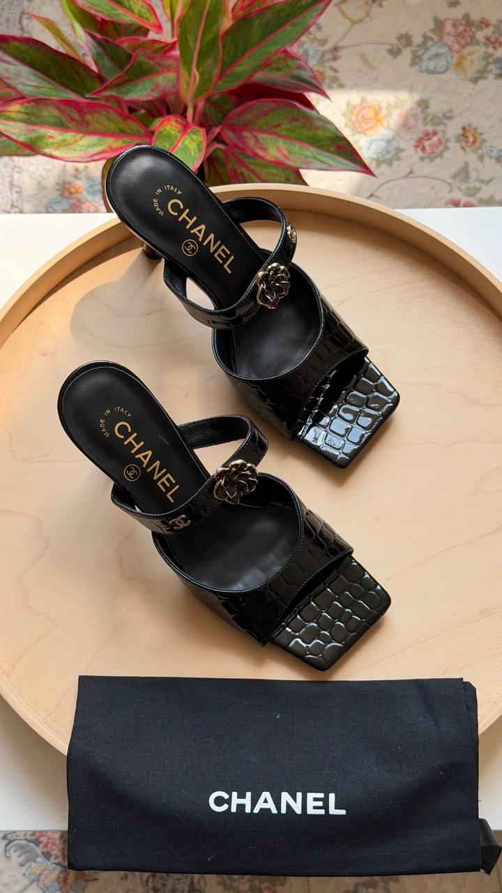 CHANEL
Master quality
Size: 36 to 41
450 dhs🇦🇪🇦🇪
Zain318
♥️♥️♥️