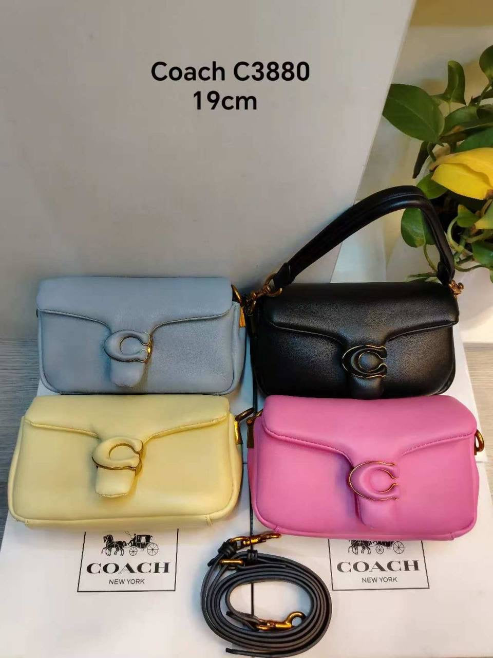 Coach 

with box
🎁🎁🎁

90 dhs🇦🇪

Zain107
♥️♥️♥️