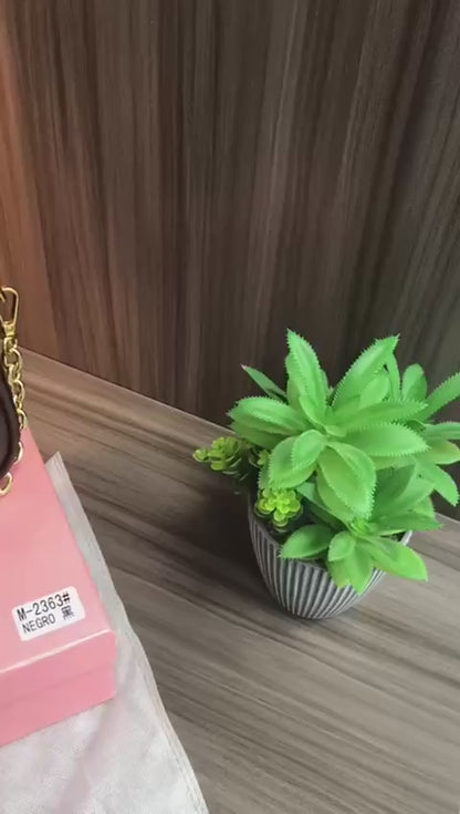 Miu Miu

with box
🎁🎁🎁

good quality
100 dhs🇦🇪

Zain07
♥️♥️♥️