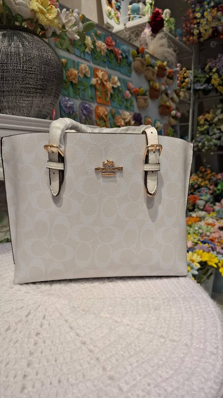 COACH MOLLY 25
25cm
110 dhs💓 

With box
🎁🎁🎁

Zain44
♥️♥️♥️