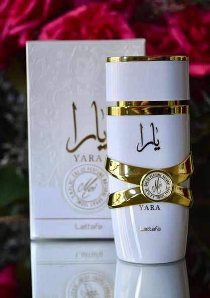 Master Perfumes
50 dhs✅

Zain172
♥️♥️♥️