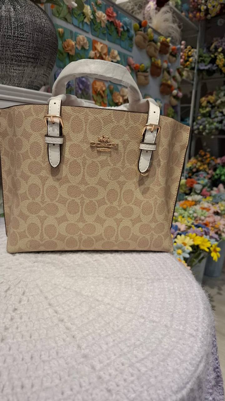 COACH MOLLY 25
25cm
110 dhs💓 

With box
🎁🎁🎁

Zain44
♥️♥️♥️