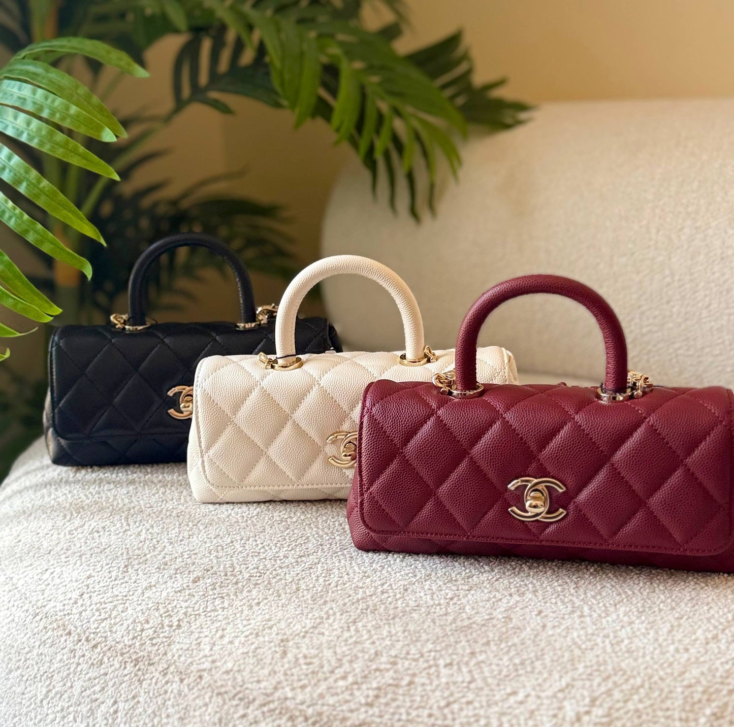 CHANEL
       
 🌿😻20 cm 😍 🍃
For Price 👇 WhatsApp✅
0568585901 
0507557372
0552275751 Owner Zain 👌

Zain246
♥️♥️♥️