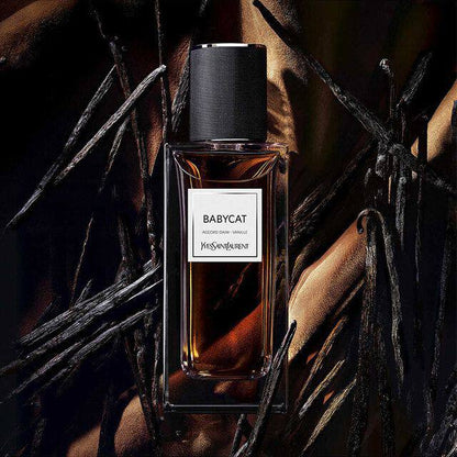 YSL org
60 dhs🌺

Zain36
♥️♥️♥️