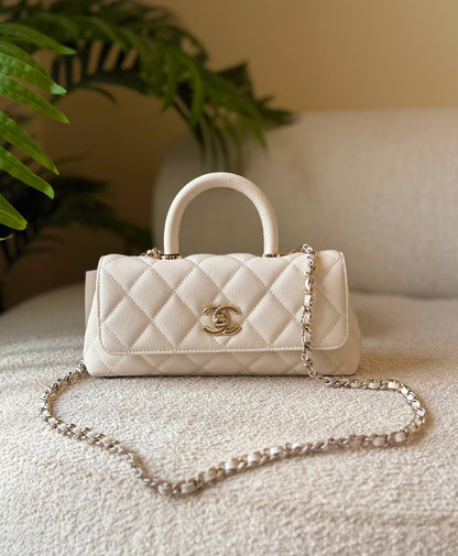 CHANEL
       
 🌿😻20 cm 😍 🍃
For Price 👇 WhatsApp✅
0568585901 
0507557372
0552275751 Owner Zain 👌

Zain246
♥️♥️♥️
