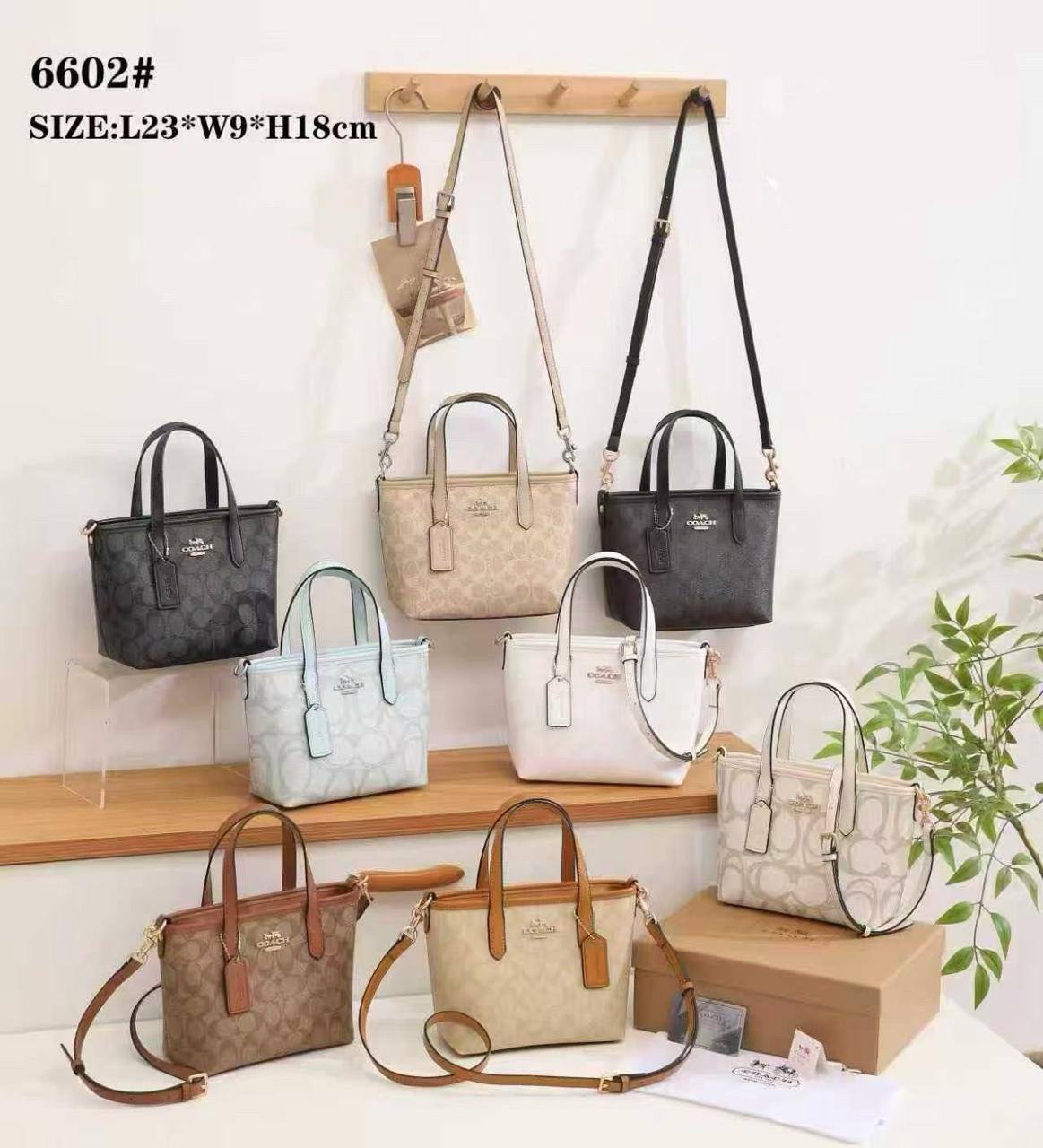 ❤️ Coach City
1️⃣ First quality +🎁  
Size : 23 * 18 cm
90 dhs🇦🇪🇦🇪
with box 🎁

Zain115
♥️♥️♥️