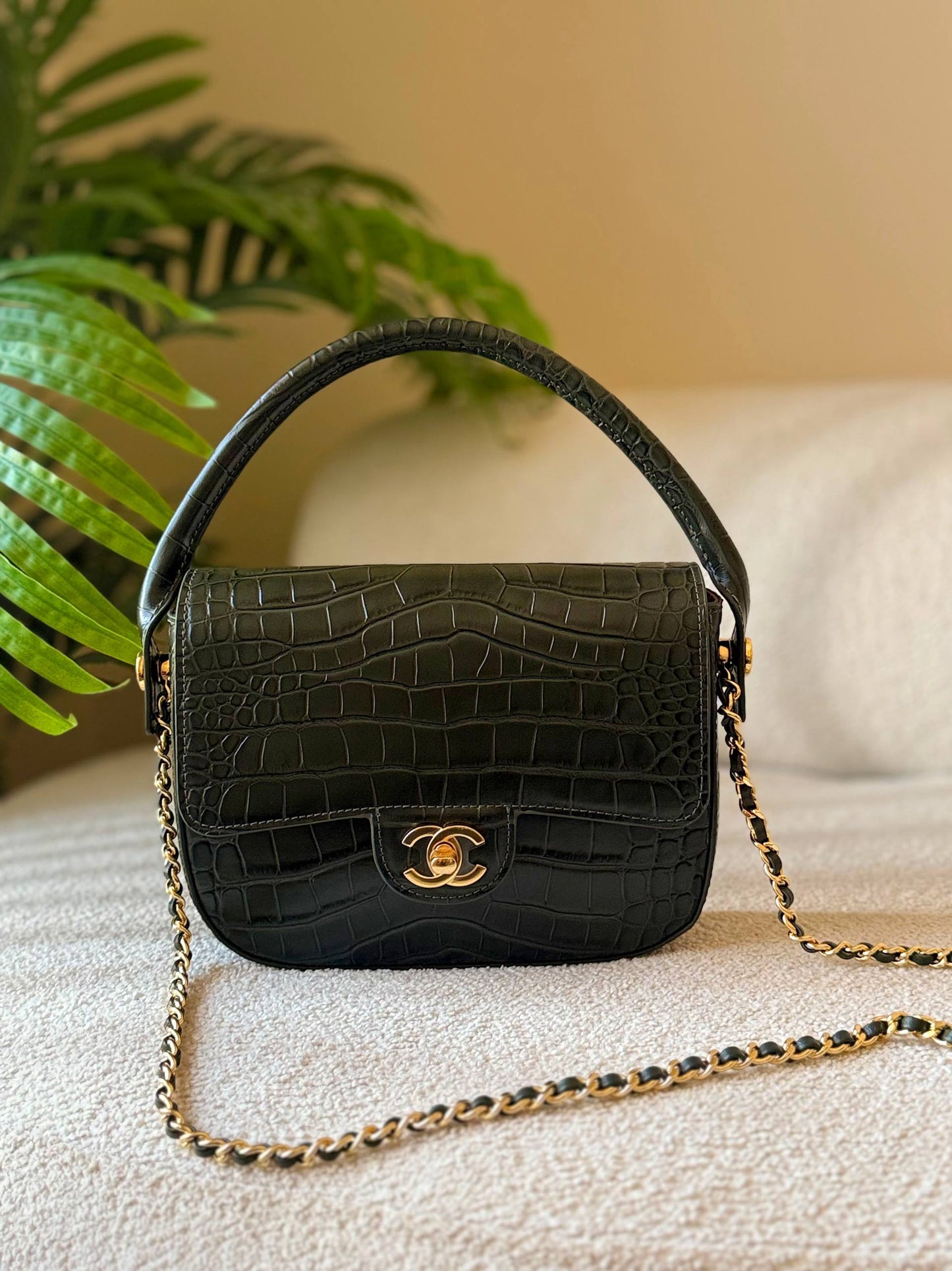 CHANEL
       
   🍃😻🌿😍
For Price 👇 WhatsApp✅
0568585901 
0507557372
0552275751 Owner Zain 👌

Zain246
♥️♥️♥️