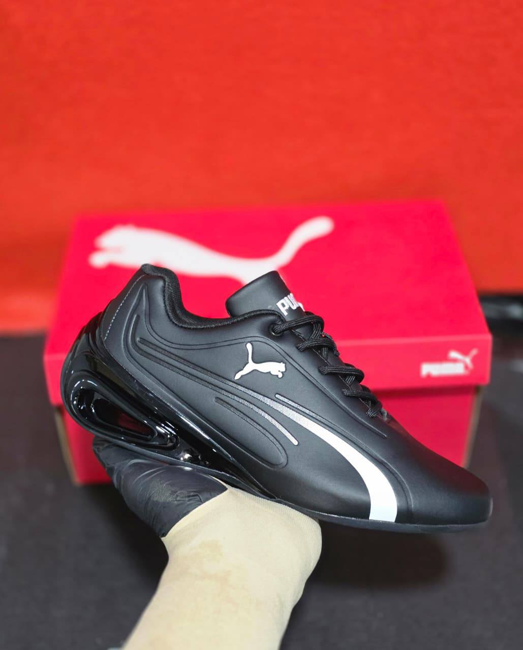 Puma

40 to 45 

For Price 👇 WhatsApp✅
0568585901 
0507557372
0552275751 Owner Zain 👌

Zain27
♥️♥️♥️