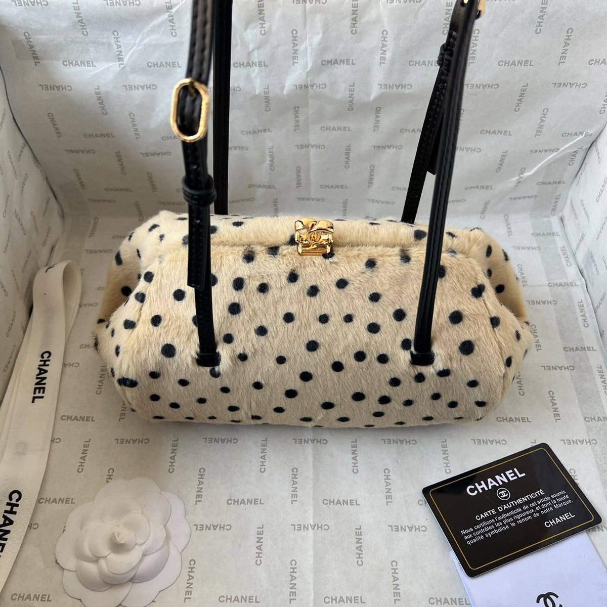 Chanel

21cm
320 dhs🇦🇪🇦🇪

Zain297
♥️♥️♥️