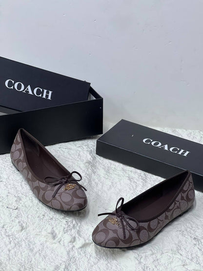 COACH
Belerina 
New arrive
Size 36-41
105 dhs🇦🇪🇦🇪

Zain21
Zain86
♥️♥️♥️