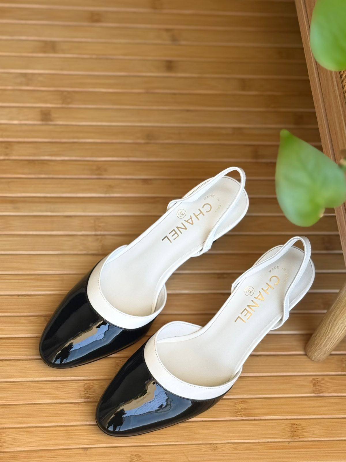 𝗖𝗛𝗔𝗡𝗘𝗟

𝗦𝗶𝘇𝗲 𝟯𝟲 𝘁𝗼 𝟰𝟭 
500 dhs🇦🇪🇦🇪

Zain303
♥️♥️♥️