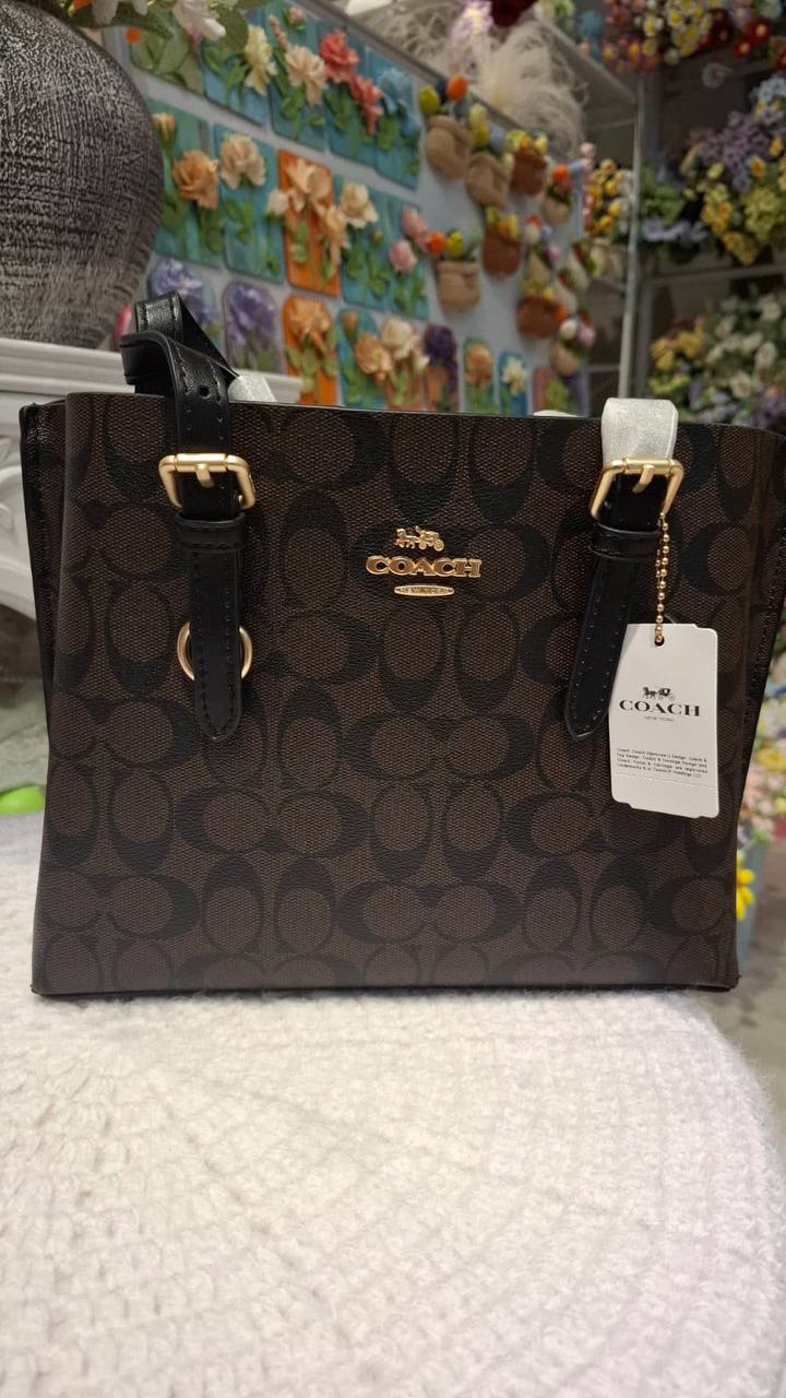 COACH MOLLY 25
25cm
110 dhs💓 

With box
🎁🎁🎁

Zain44
♥️♥️♥️