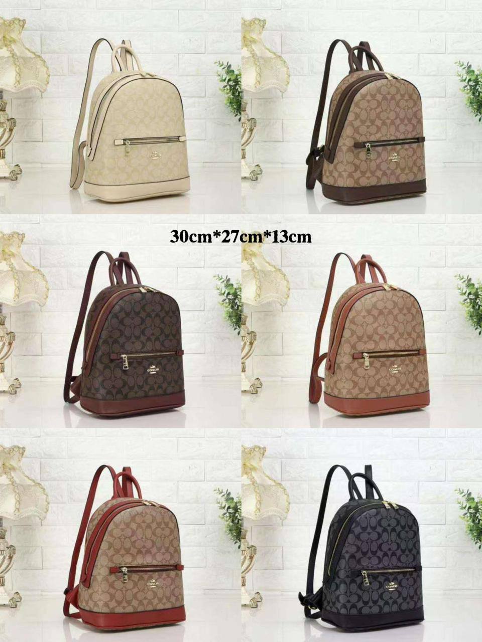 COACH BACKPACK NEW CAME GOOD QUALITY 
100 dhs🇦🇪🇦🇪

Zain295
♥️♥️♥️