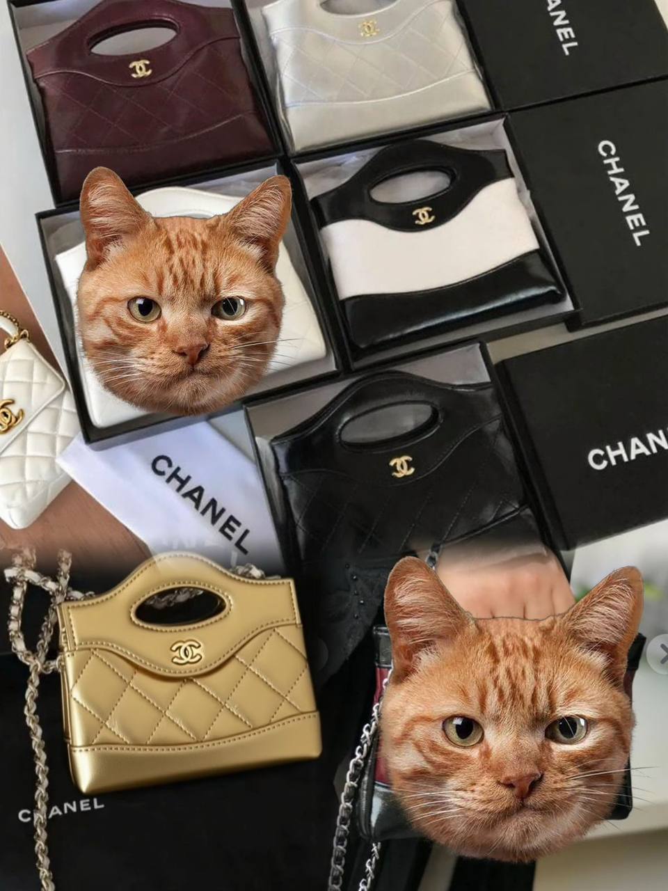 Chanel
85 dhs🪙🌨️
SIZE：20cm
With box
🎁🎁🎁

Zain35
♥️♥️♥️