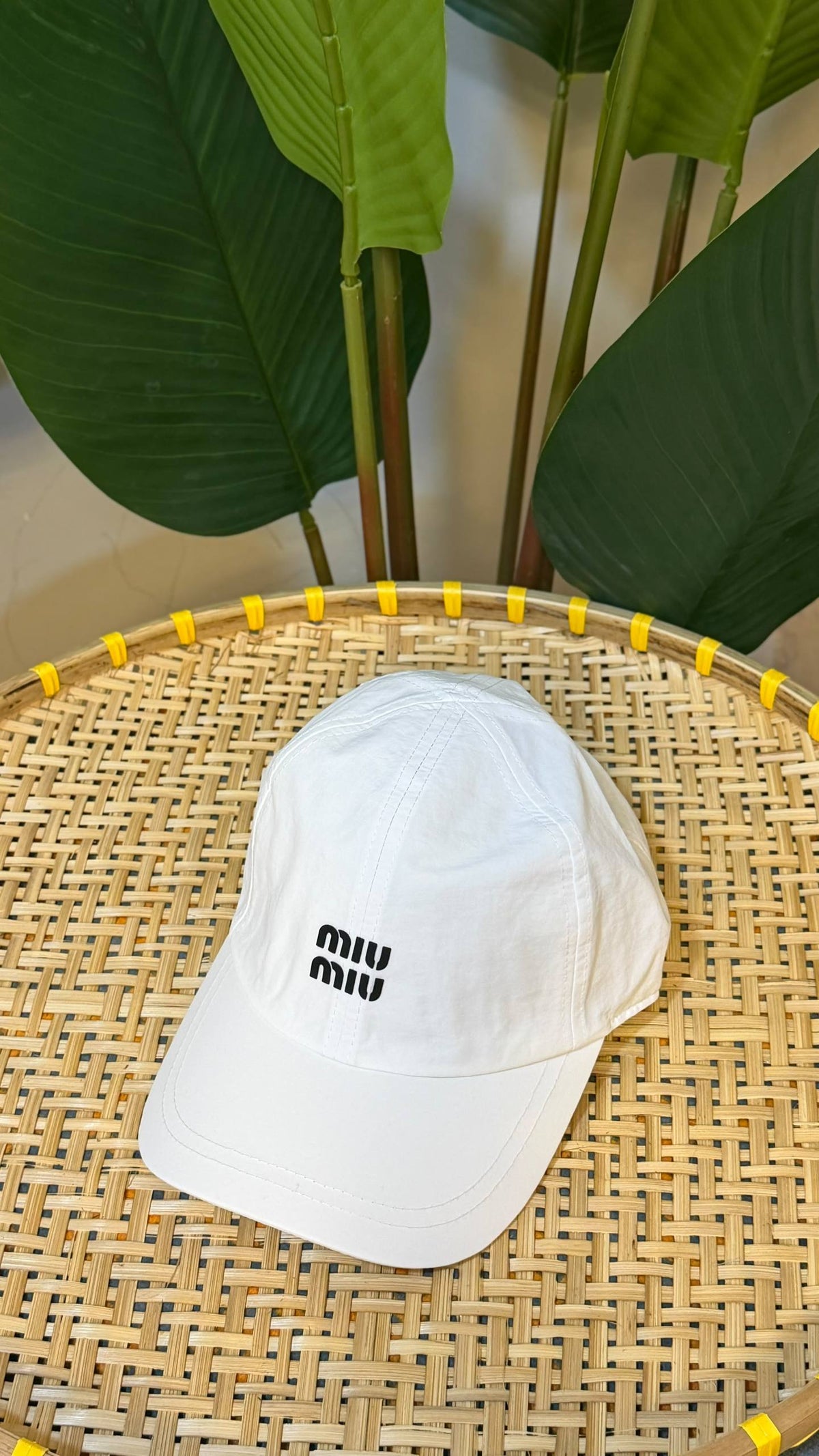 Miu miu

VVIP QUALITY

180 dhs🇦🇪🇦🇪

Zain281
♥️♥️♥️