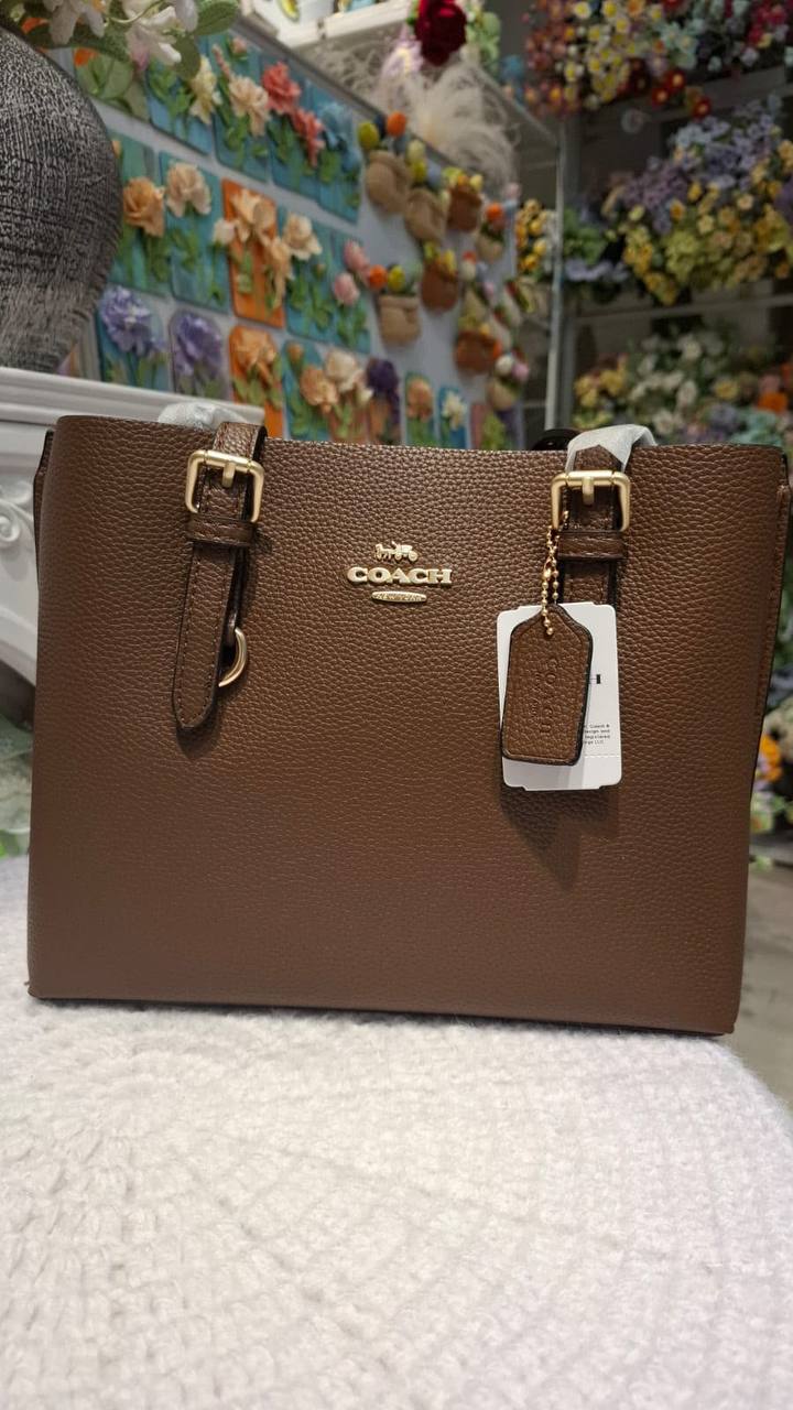 COACH MOLLY 25
25cm
110 dhs💓 

With box
🎁🎁🎁

Zain44
♥️♥️♥️