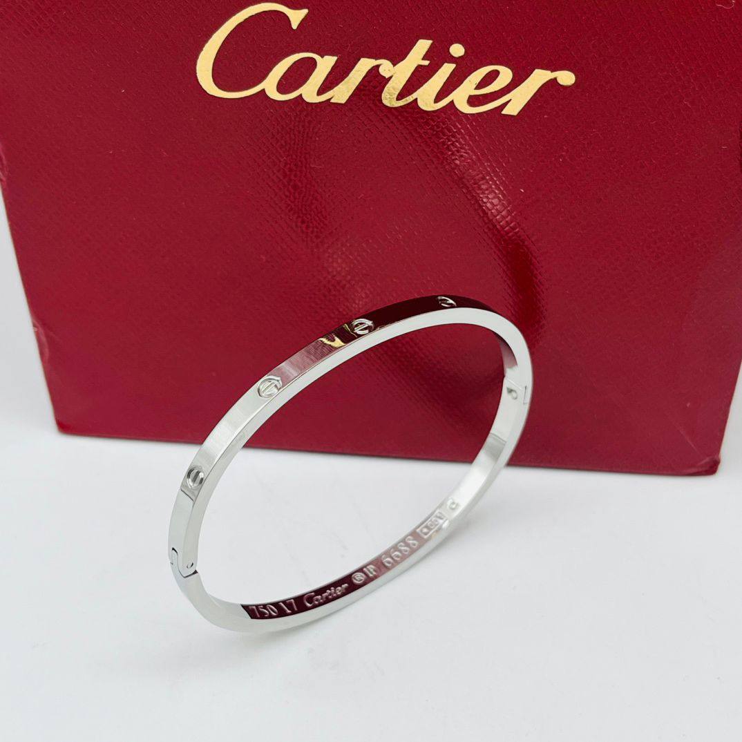 Cartier classic stainless steel bangle without stone. 

30 dhs❣️

Zain243
♥️♥️♥️