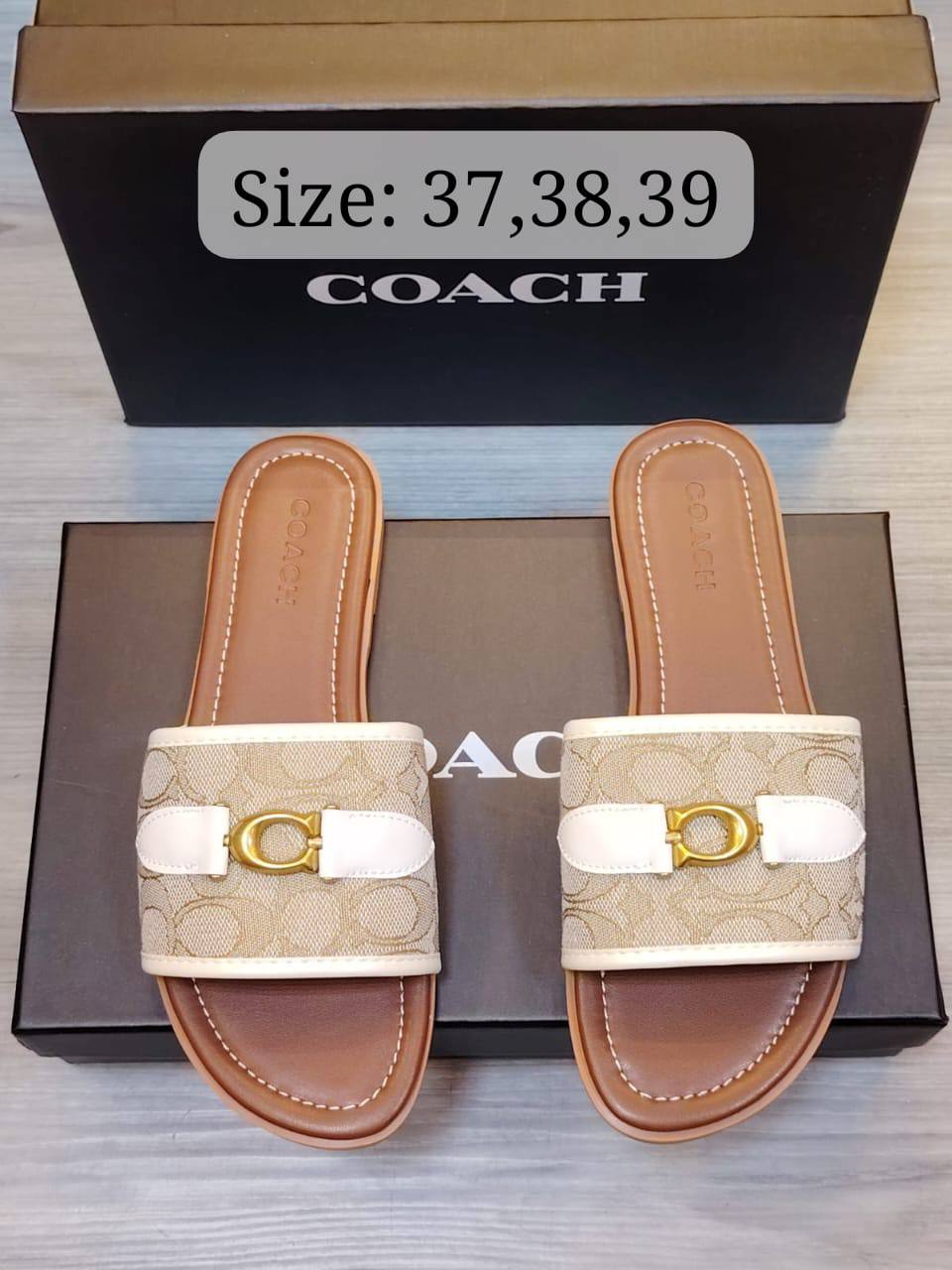 LV - Coach - D&G
Slipper, New Arrived 
Size 36 To 41
85 dhs✅

Zain120
♥️♥️♥️