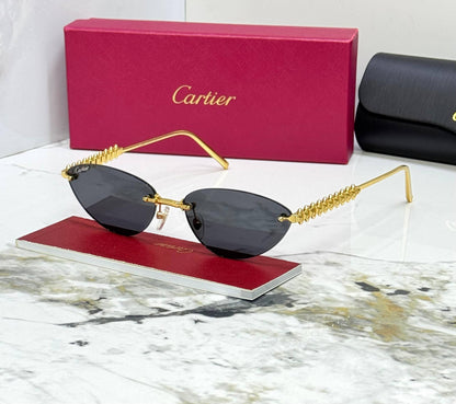 CARTIER
CT0543S
Super Master Quality✅
🆕New available🆕
For Price 👇 WhatsApp✅
0568585901 
0507557372
0552275751 Owner Zain 👌

Zain166
♥️♥️♥️