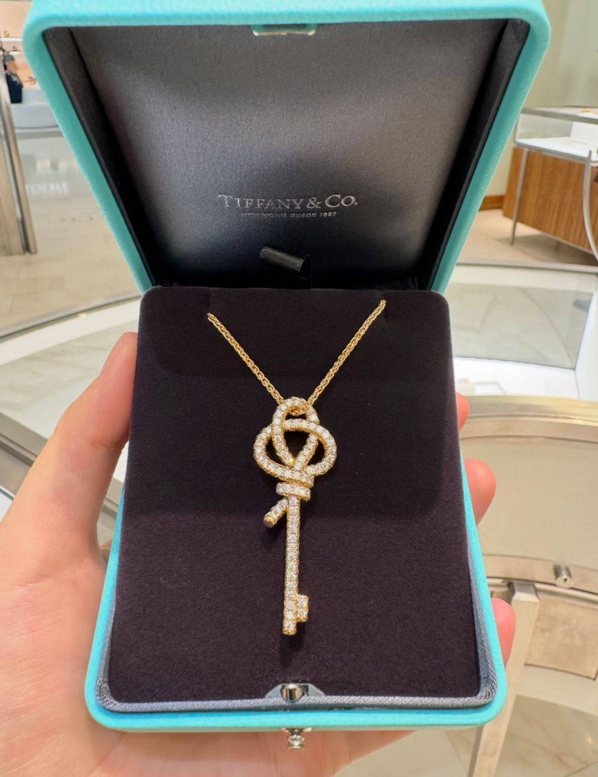 TIFFANY
Necklace &Earing 
Master 
With normal box 🎁
100 dhs🇦🇪🇦🇪


With master box💫
120 dhs🇦🇪🇦🇪


Zain263
♥️♥️♥️
