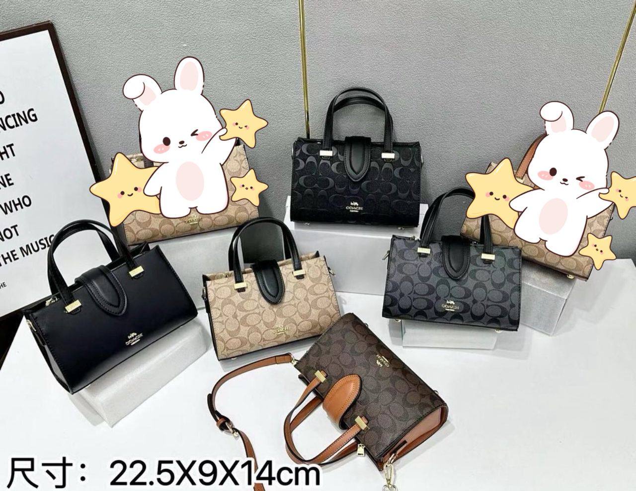 Coach - MK
95 dhs❣️
SIZE：22×9×14cm
good-quality 

with box
🎁🎁🎁

Zain35
Zain115
♥️♥️♥️