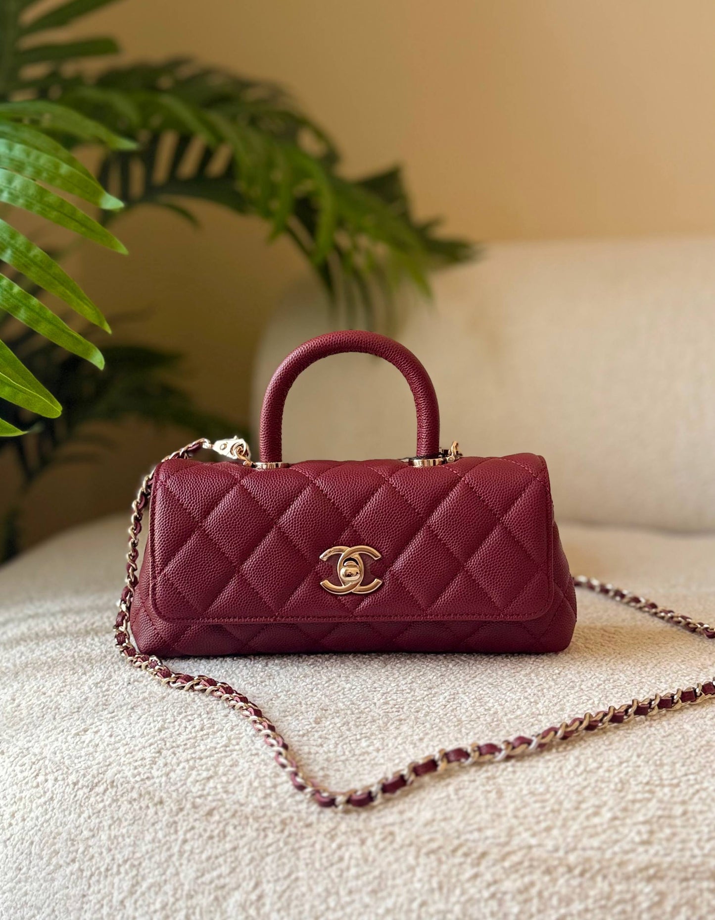 CHANEL
       
 🌿😻20 cm 😍 🍃
For Price 👇 WhatsApp✅
0568585901 
0507557372
0552275751 Owner Zain 👌

Zain246
♥️♥️♥️