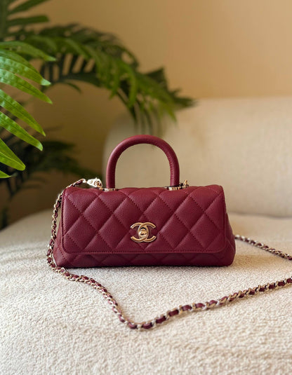 CHANEL
       
 🌿😻20 cm 😍 🍃
For Price 👇 WhatsApp✅
0568585901 
0507557372
0552275751 Owner Zain 👌

Zain246
♥️♥️♥️