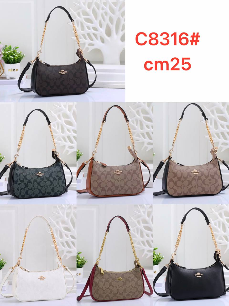 Coach
25cm 
95 dhs✅
With Box

Zain50
♥️♥️♥️