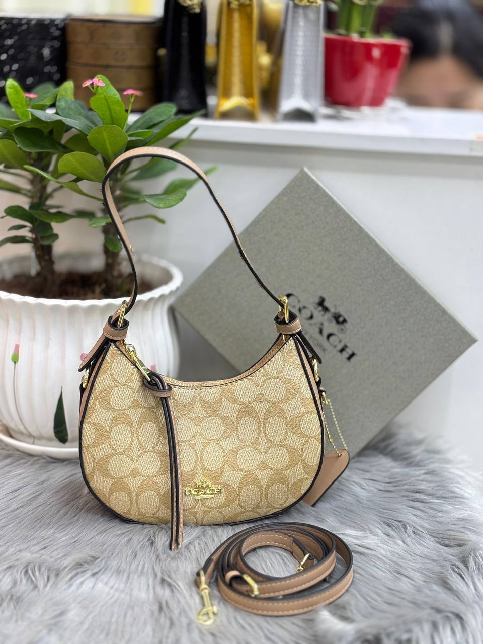 Coach
90 dhs🪙🌨️

Zain244
♥️♥️♥️