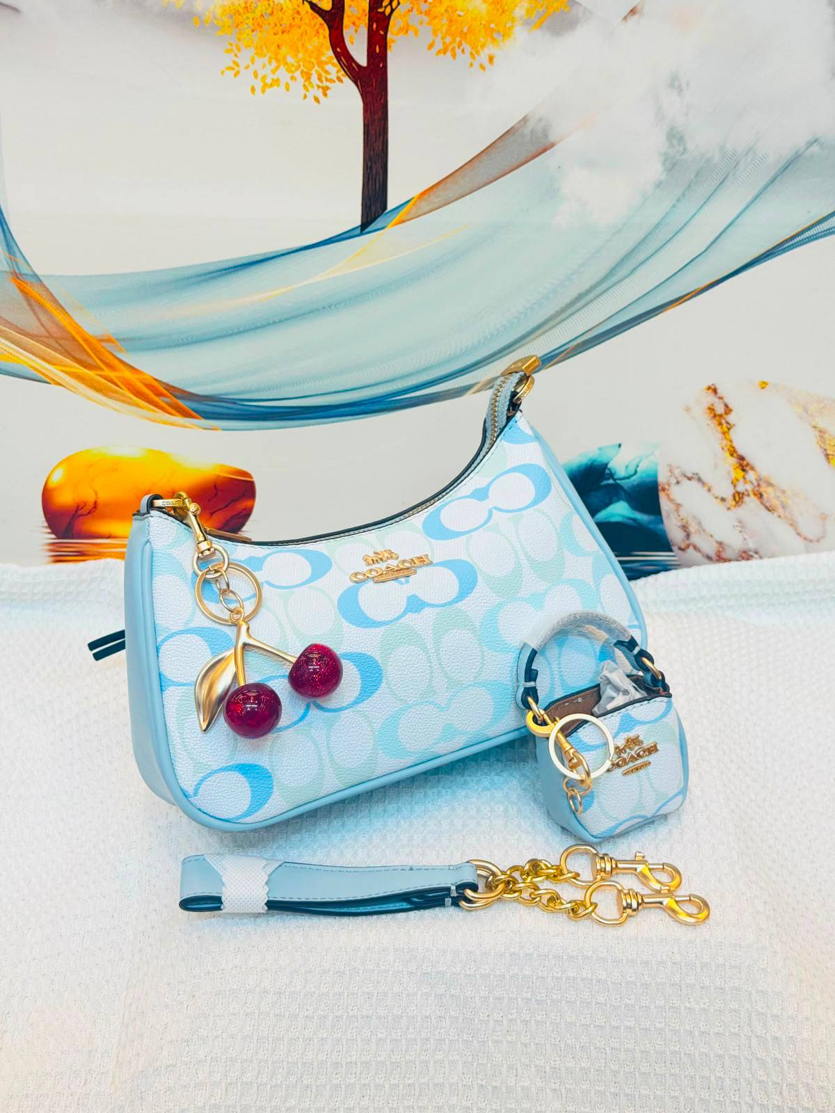 Coach 
Best quality with box’s 
110 dhs🇦🇪🇦🇪
size 25 CM

Zain290
♥️♥️♥️