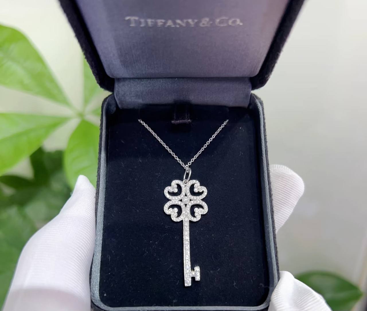 Tiffany ❤️‍🔥*
Necklace ✨
Master quality 💯
With normal boxes 🗃️ 
55 dhs✅
With master box 📦 
70 dhs✅

Zain216
♥️♥️♥️