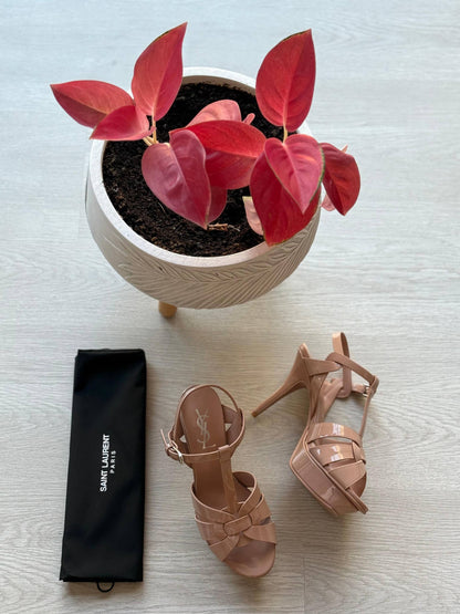 YSL
Master quality 
Size: 36 to 41
450 dhs✅

Zain318
♥️♥️♥️
