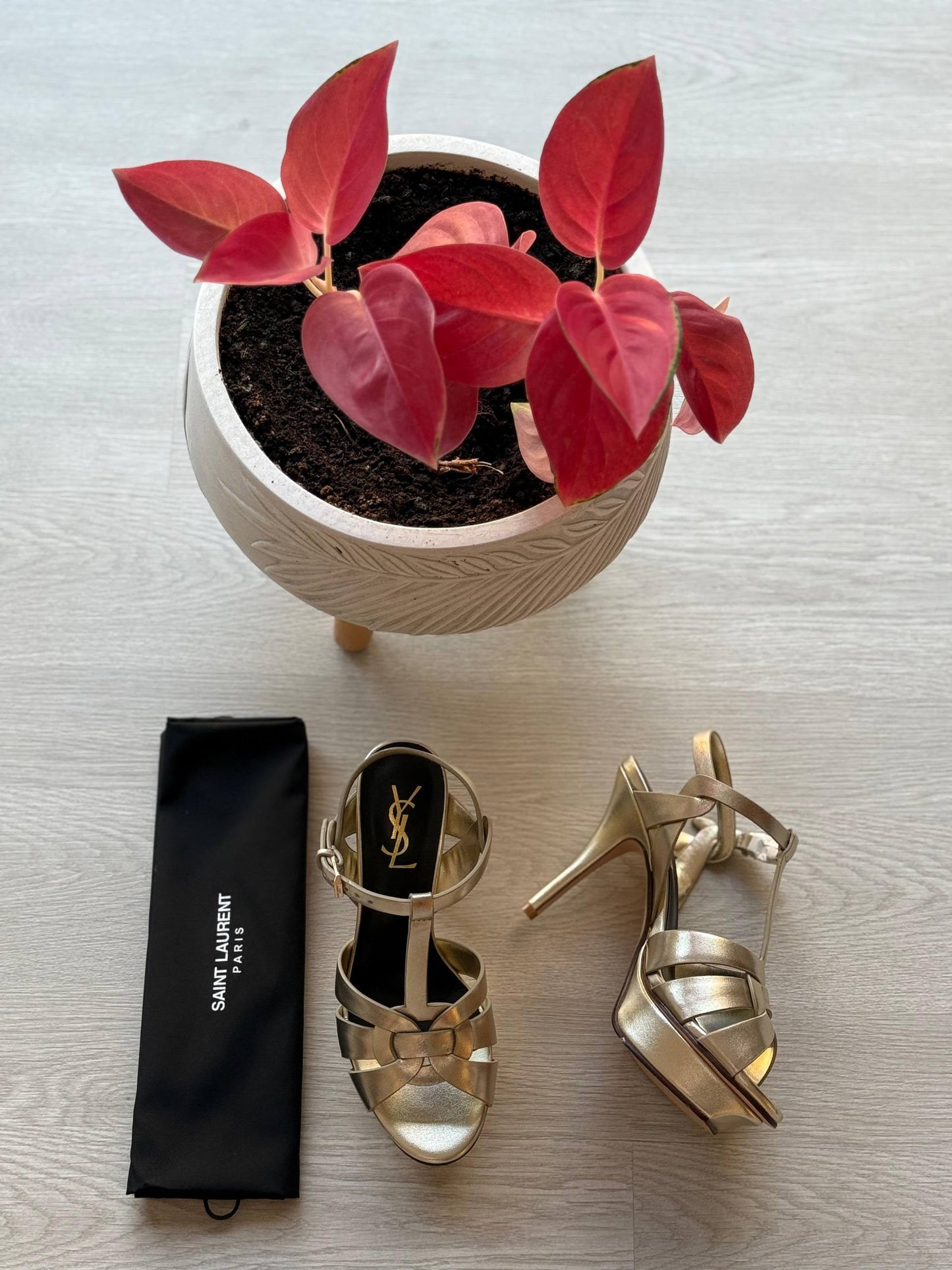 YSL
Master quality 
Size: 36 to 41
450 dhs✅

Zain318
♥️♥️♥️