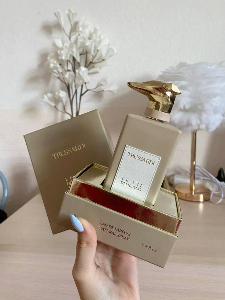 Master
55 dhs🗽

Zain36
♥️♥️♥️