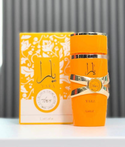 Master Perfumes
50 dhs✅

Zain172
♥️♥️♥️