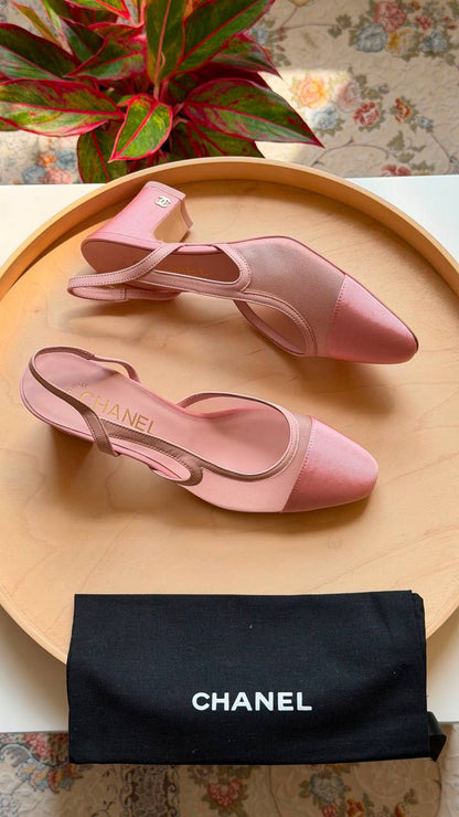 CHANEL
Master quality 
Size: 36 to 41
450 dhs🇦🇪🇦🇪

Zain318
♥️♥️♥️