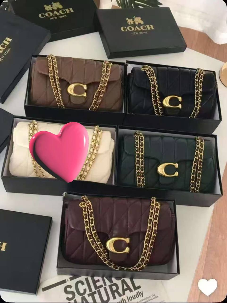 Coach

Size:26cm

With box 🎁🎁🎁

100 dhs💓

Zain148
♥️♥️♥️