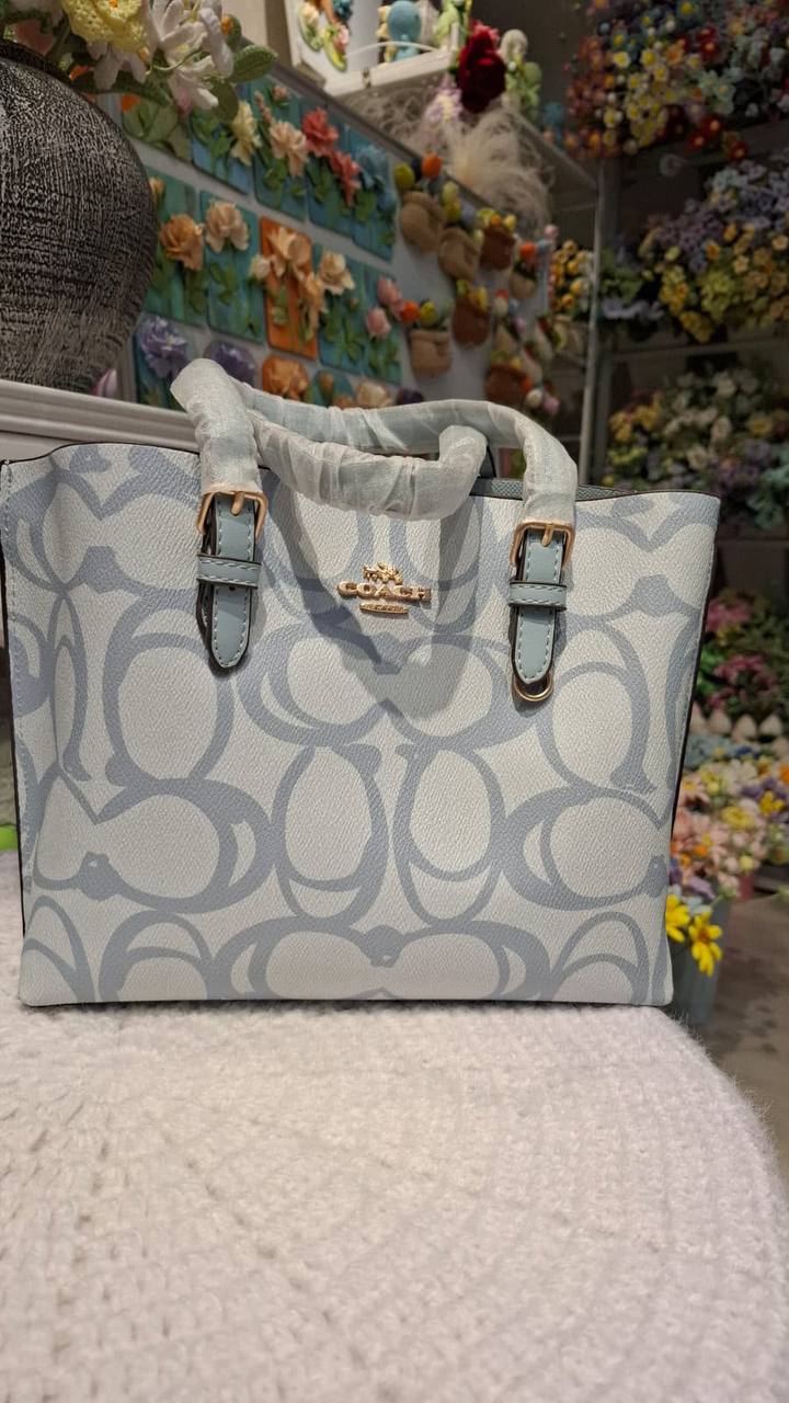 COACH MOLLY 25
25cm
110 dhs💓 

With box
🎁🎁🎁

Zain44
♥️♥️♥️