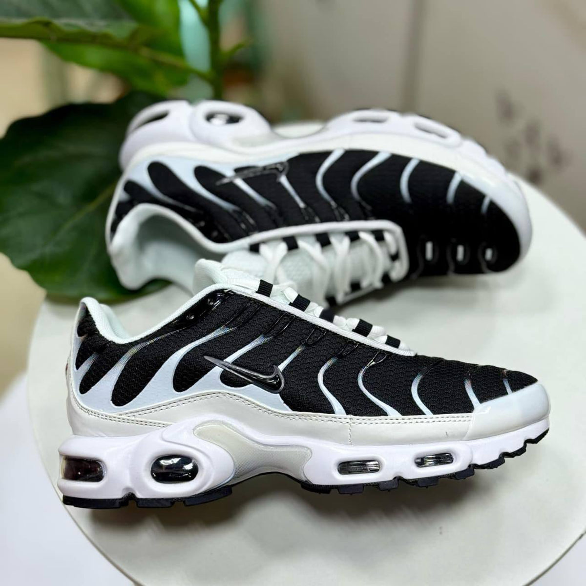 Airmax TN 

105 dhs🇦🇪🇦🇪

40 to 46 

Zain27
♥️♥️♥️