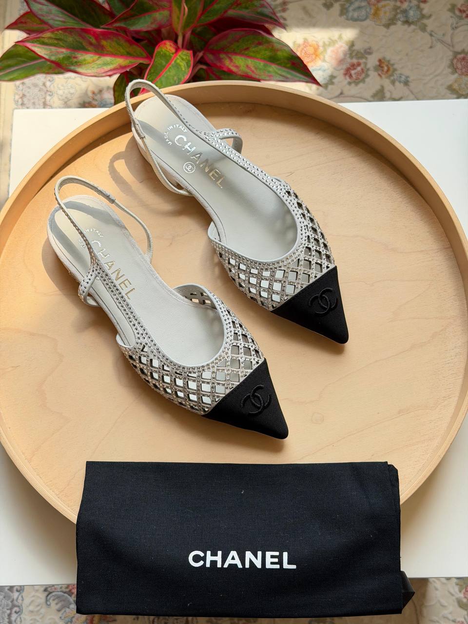 CHANEL

Available  🤩

Master quality 

Size: 36 to 41

450 dhs🇦🇪🇦🇪🇦🇪

Zain318
♥️♥️♥️