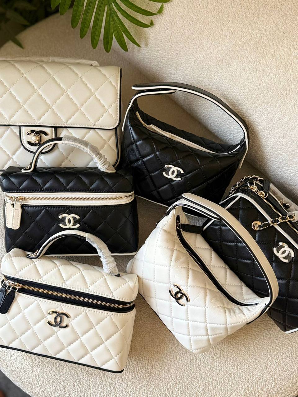 🌼 CHANEL 🤍
       
      💕 😍 🩷
For Price 👇 WhatsApp✅
0568585901 
0507557372
0552275751 Owner Zain 👌

Zain246
♥️♥️♥️