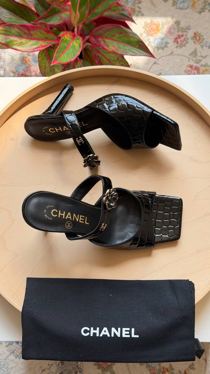 CHANEL
Master quality 
Size: 36 to 41
450 dhs🇦🇪🇦🇪

Zain318
♥️♥️♥️