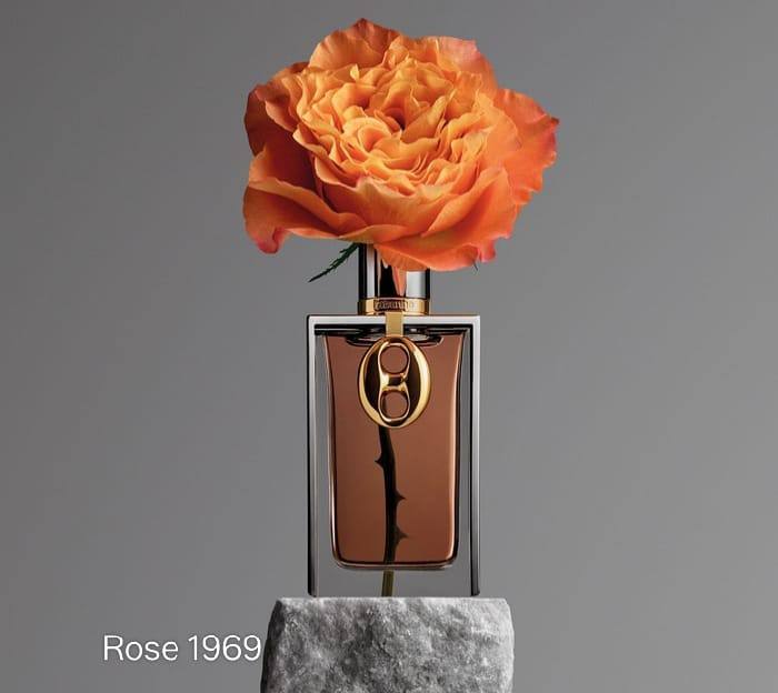 Rabanne clearance 
55 dhs🪙

Zain01
🌸🌸🌸