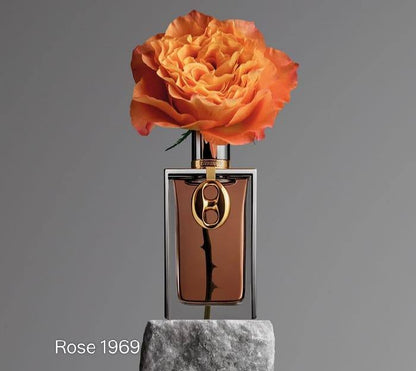 Rabanne clearance 
55 dhs🪙

Zain01
🌸🌸🌸