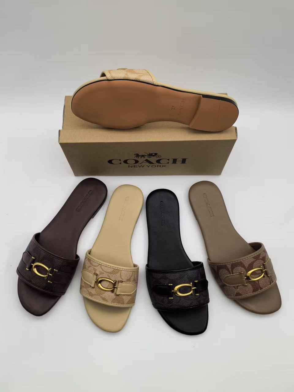 Coach
size 36 to 41
70 dhs✅✅

Zain161
♥️♥️♥️