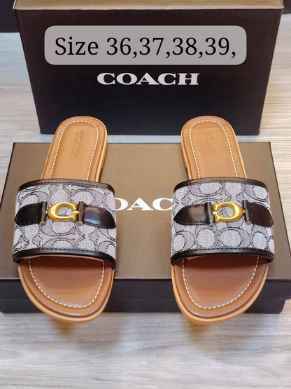 LV - Coach - D&G
Slipper, New Arrived 
Size 36 To 41
85 dhs✅

Zain120
♥️♥️♥️